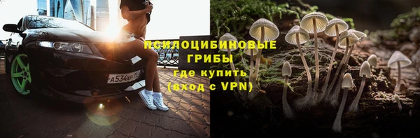 эйфоретик Белокуриха