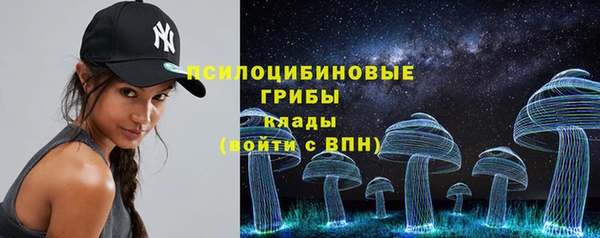 эйфоретик Белокуриха