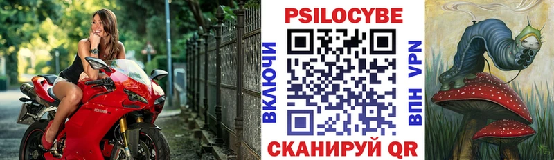 Псилоцибиновые грибы прущие грибы нарко площадка наркотические препараты Кузнецк
