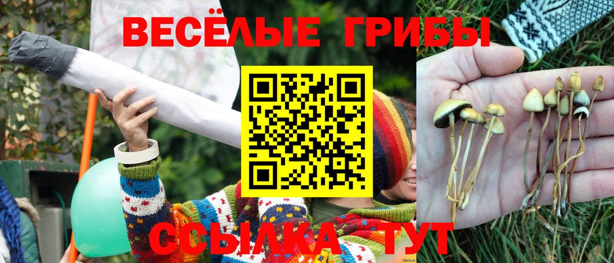 Псилоцибиновые грибы мухоморы Кузнецк