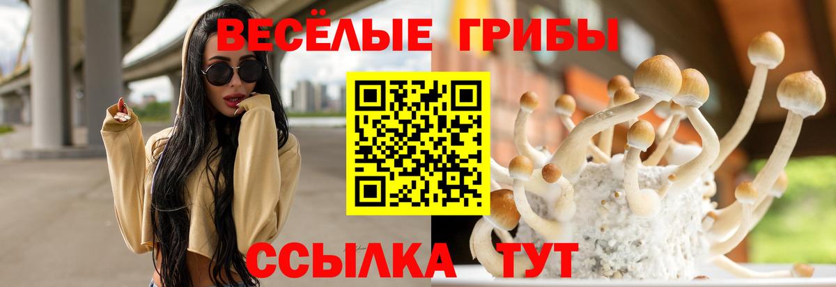 Галлюциногенные грибы Magic Shrooms  Вход с VPN  цена наркотик  Кузнецк 